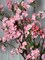 Camilla Silk Pink Cherry Blossom Branch – 33" Set of 3 | Artificial Cherry Blossom Stems with Realistic Bark and Blossoms | Faux Spring Floral Décor for Home, Weddings, or Events